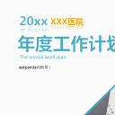 商务工作汇报工作汇报医院专用——图文