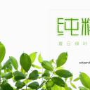 商务.文艺清新夏日绿色清新——图文