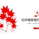 商务.总结PPT模板-图文00工作汇报 年终总结——150