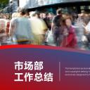 商务.总结PPT模板-图文02总结-117