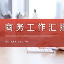 商务.总结PPT模板-图文02总结-160