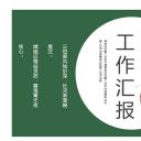 商务.总结PPT模板-图文03总结-215