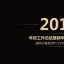 商务.总结PPT模板-图文03总结-248