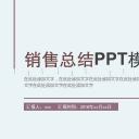 商务.总结PPT模板-图文04总结-313