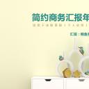 商务.总结PPT模板-图文04总结-394