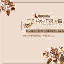 商务.总结PPT模板-图文07总结-644