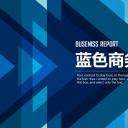 商务.总结PPT模板-图文08总结-747