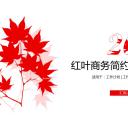 商务.总结PPT模板-图文08总结-772