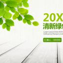 商务.总结PPT模板-图文08总结-782