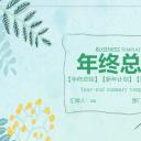 商务.总结PPT模板-图文09总结-846