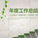 商务.总结PPT模板-图文09总结-869