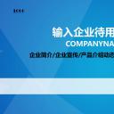 商务.总结PPT模板-图文11工作总结-112