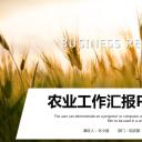 商务.总结PPT模板-图文14工作总结-图文122