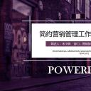 商务.总结PPT模板-图文15工作总结-图文223