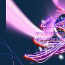 商务.套述职报告1125