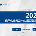 商务.套述职报告113