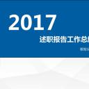 商务.套述职报告119