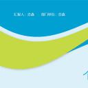 商务.套述职报告133