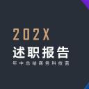 商务.套述职报告1741