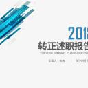 商务.套述职报告197