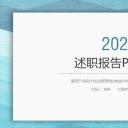 商务.套述职报告426