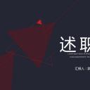 商务.套述职报告438