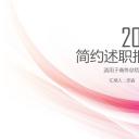 商务.套述职报告444