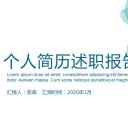 商务.套述职报告447