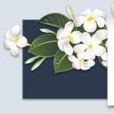 商务.套述职报告464