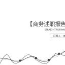 商务.套述职报告472