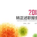 商务.述职报告2219