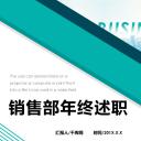 商务.述职报告2276