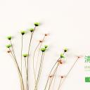 商务.述职报告2317