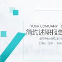 商务.页面展示ppt51