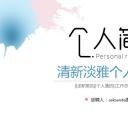 商务.模板源文件简历 2