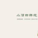 商务.PPT模板源文件求职竞聘 2