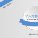 商务.PPT模板源文件个人简历求职竞聘-272