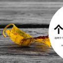 商务.PPT模板源文件个人简历求职竞聘-41