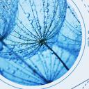 商务.PPT模板源文件个人简历求职竞聘-69