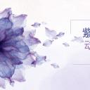 商务.紫色ppt高端大气紫色动态PPT模板 17