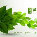 商务.绿色ppt绿色 36