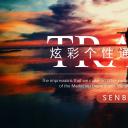 商务.A169-轻奢系金箔风.02-轻奢金箔ppt模板.38