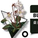 商务.A169-轻奢系金箔风.02-轻奢金箔ppt模板.6