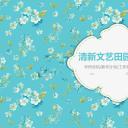 商务.Z178 复古典传统服饰花纹中国风文艺术报告总结汇报 少数民族风PPT模板.PPT模板.45