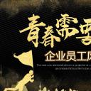 商务.员工风采展示ppt（解压版）.员工风采展示-16