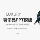 欧美商务.动态PPT.源文件PPT.43