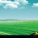 图文-中国风500款.01中国风PPT.中国风02.中国风 37