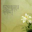 图文-中国风500款.01中国风PPT.中国风02.中国风 41