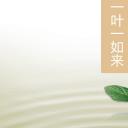 图文-中国风500款.02中国风PPT.PPT模板.中国风 11