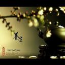 图文-中国风PPT 85个.中国风 46 图文